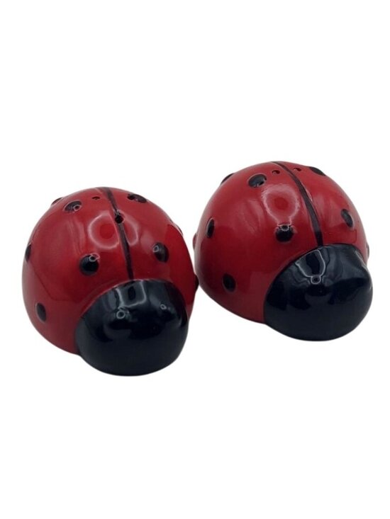 Alco Industries Other - Ceramic Ladybug Salt & Pepper Shaker Set Alco Industries Spring Bug Collectible